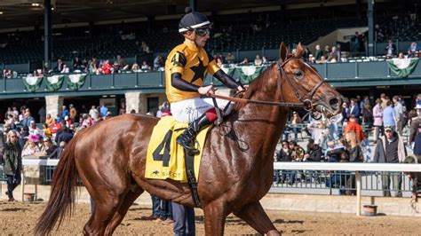 Horse Racing betting .